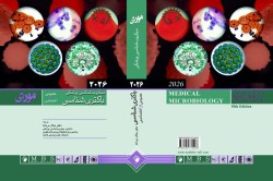 ترجمه کتاب میکروب شناسی پزشکی مورای 2026 (ویرایش دهم) توسط عضو هیات علمی مرکز تحقیقات بیماری های عفونی دانشگاه علوم پزشکی گناباد
